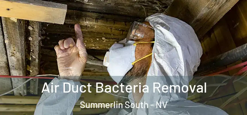  Air Duct Bacteria Removal Summerlin South - NV