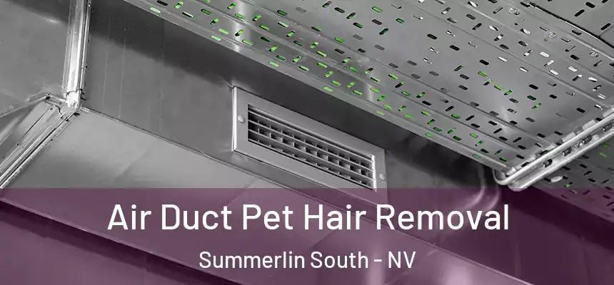 Air Duct Pet Hair Removal Summerlin South - NV