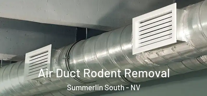 Air Duct Rodent Removal Summerlin South - NV