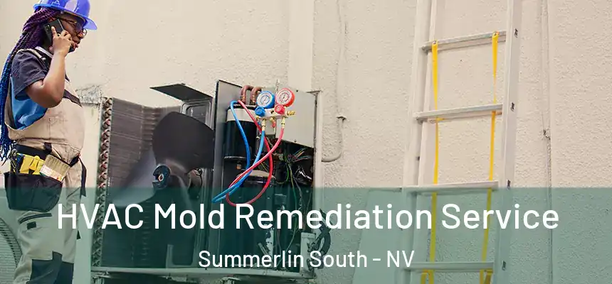HVAC Mold Remediation Service Summerlin South - NV