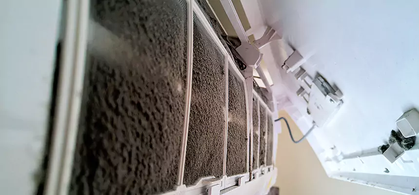 Preventive Air Duct Bacteria Removal in Summerlin South