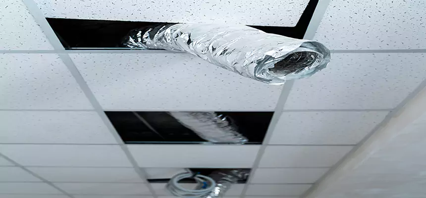 Affordable HVAC Sanitizing After Pest Removal in Summerlin South