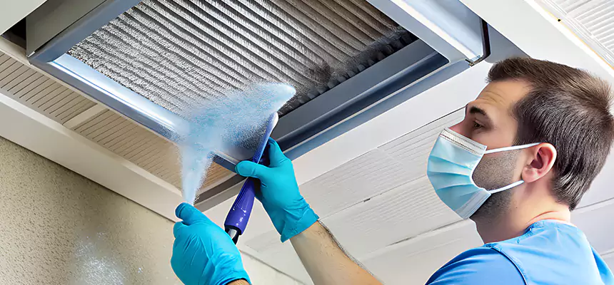 Proactive Dryer Vent & Auxiliary Duct Pollen Cleanup in Summerlin South, NV