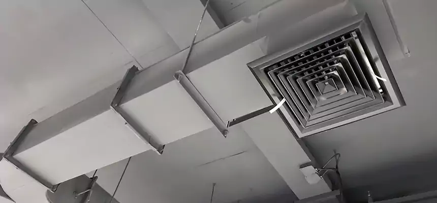 Restorative Allergy Relief Vent Cleaning – Coil, Blower & Housing Detail in Summerlin South