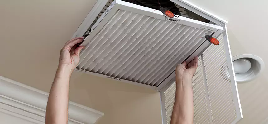 Our Insect Removal from Air Ducts Services in Summerlin South, NV