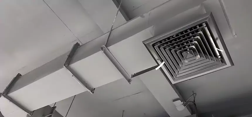 Our Pest Removal From Ducts Services in Summerlin South, NV