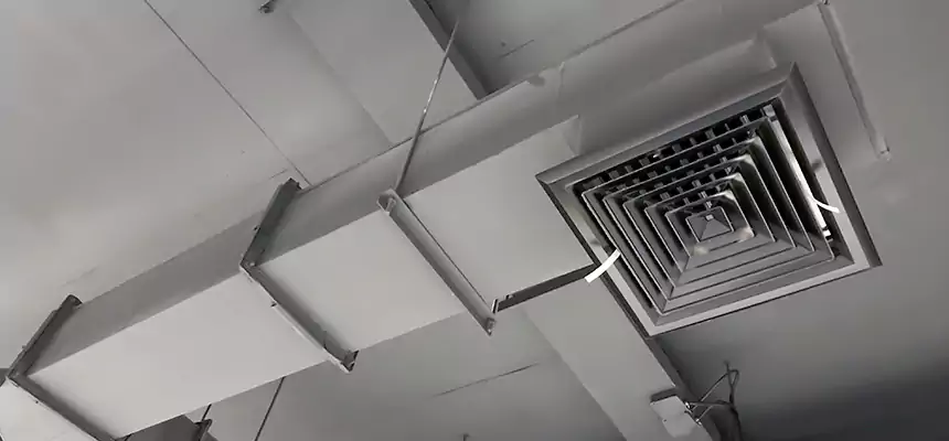 Our Rodent Droppings In Vents Services in Summerlin South, NV