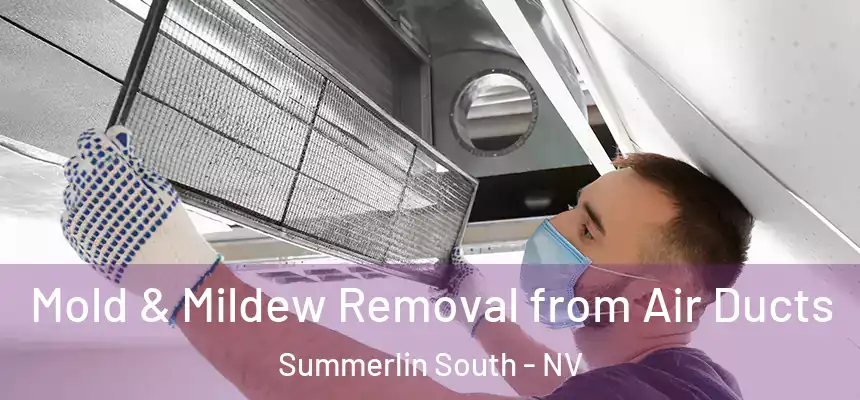 Mold & Mildew Removal from Air Ducts Summerlin South - NV