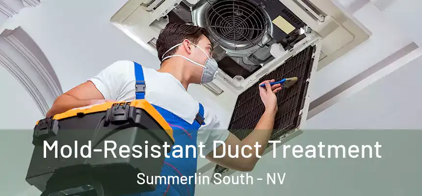 Mold-Resistant Duct Treatment Summerlin South - NV
