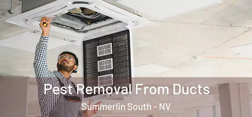  Pest Removal From Ducts Summerlin South - NV