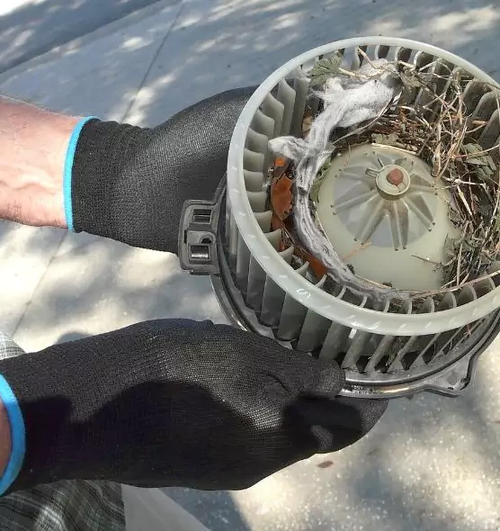 About Air Duct Mice Removal in Summerlin South, NV