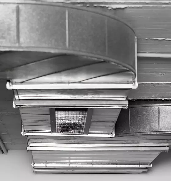 Professional Air Duct Pet Hair Removal in Summerlin South, NV