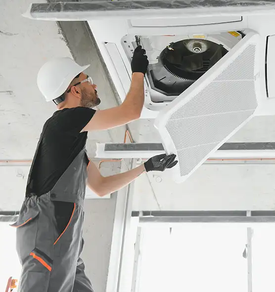 About Air Duct Rodent Removal in Summerlin South, NV