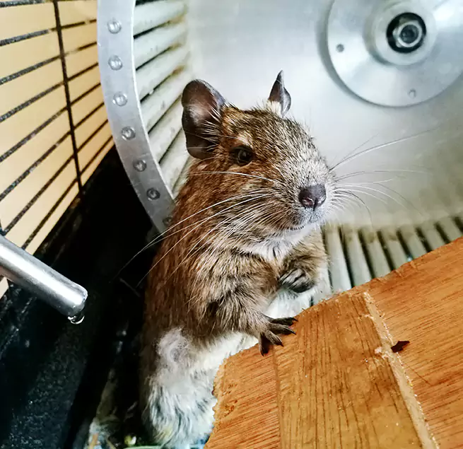 Why Homeowners & Businesses Trust Us Summerlin South, NV