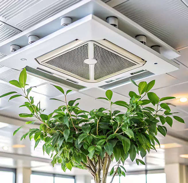 Why Homeowners & Businesses Trust Us in Summerlin South, NV