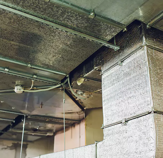 Why Homeowners & Businesses Trust Us in Summerlin South, NV?